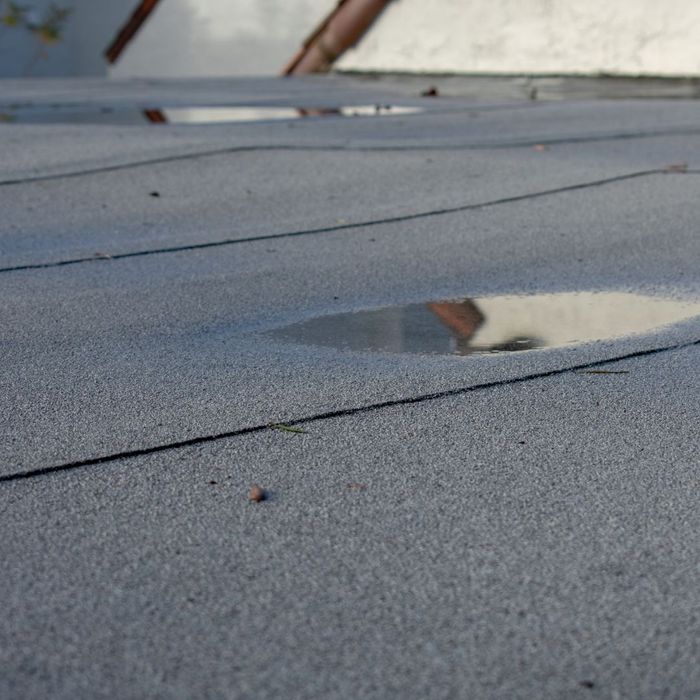 puddles on flat roof