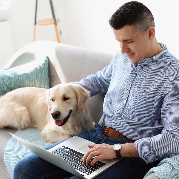 Man sitting on his couch using a laptop and petting his dog