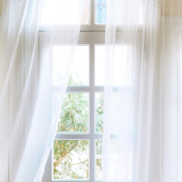 window with the light coming in