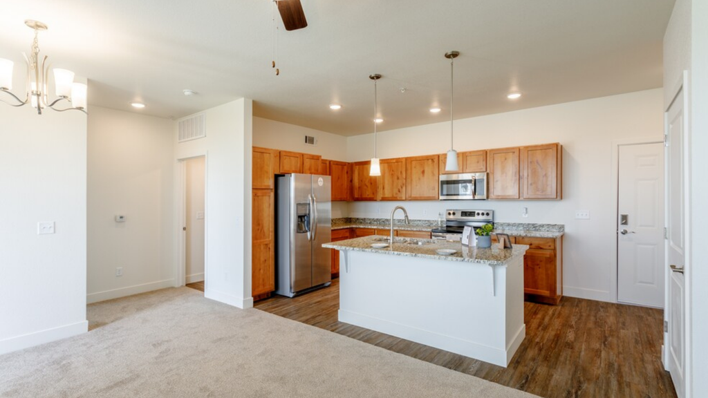 The Allure of Carpet and Laminate Wood Floors in an Apartment.png