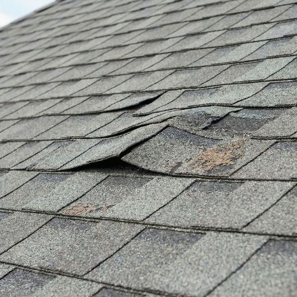Close-up view of wind-damaged roof shingles showing granule loss and creases.