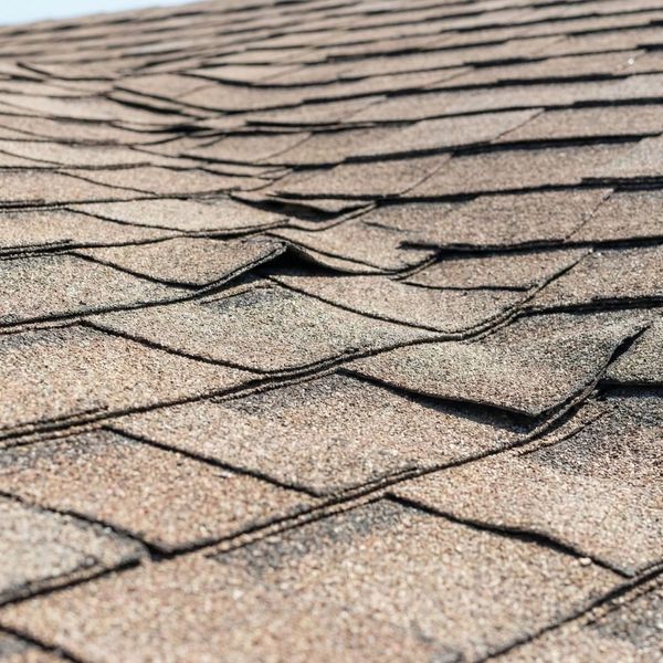 A close-up of sun-faded, curled asphalt shingles on a Florida roof under bright sunlight.
