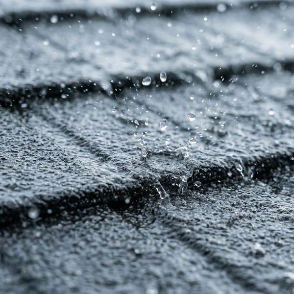 Beyond Durability2.jpg