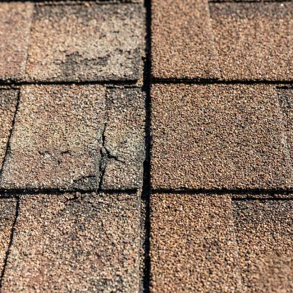 Seasonal Roof Care_ Preparing Your Florida Home for Any Weather 3.jpg