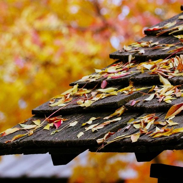 Understanding the Durability and Longevity of Wood Shake Roofing 2.jpg