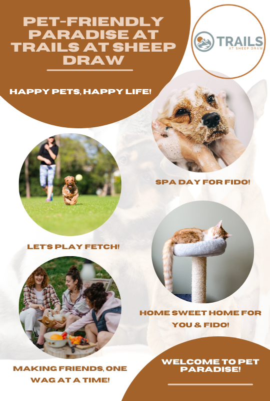M29173 - March 2024 - Infographic - Pet- Friendly Bliss.png