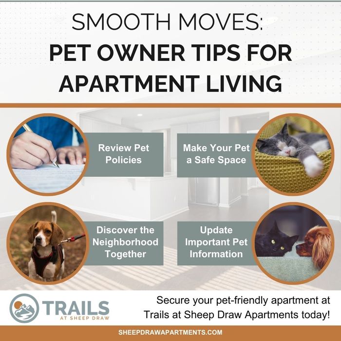 infographic listing tips for moving with a pet to an apartment