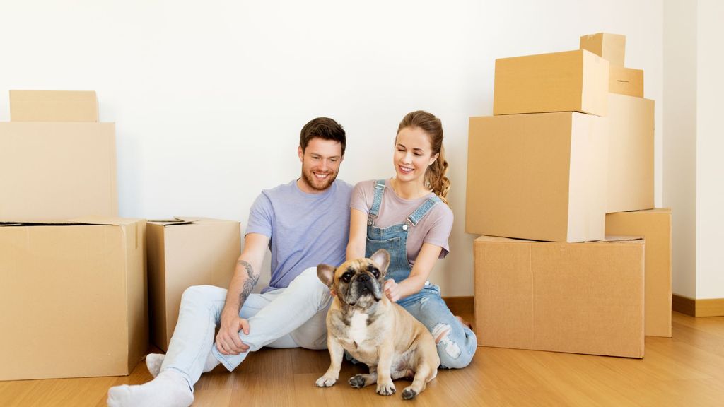 M29173 - Top Things To Think About When Moving Into an Apartment With an Animal - hero.jpg