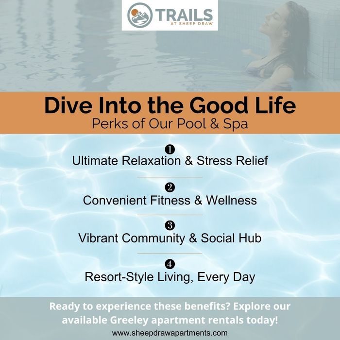 infographic that lists the perks of a pool and spa infographic that lists the perks of a pool and spa
