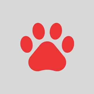 Untitled design-69.jpg