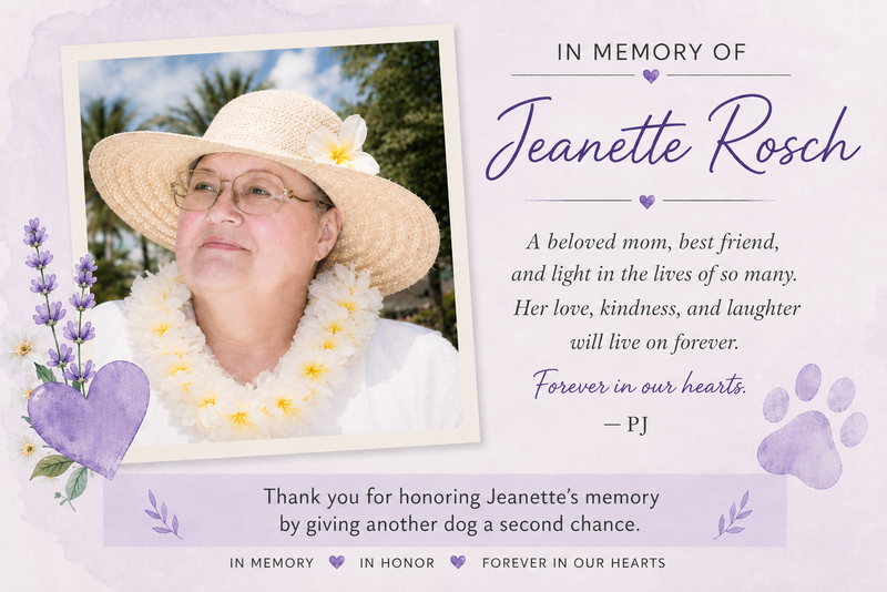 jeanette.png