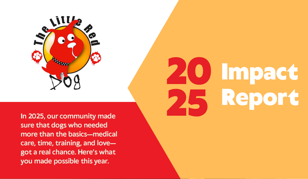 Screenshot 2026-03-15 at 8.01.11%E2%80%AFAM.png