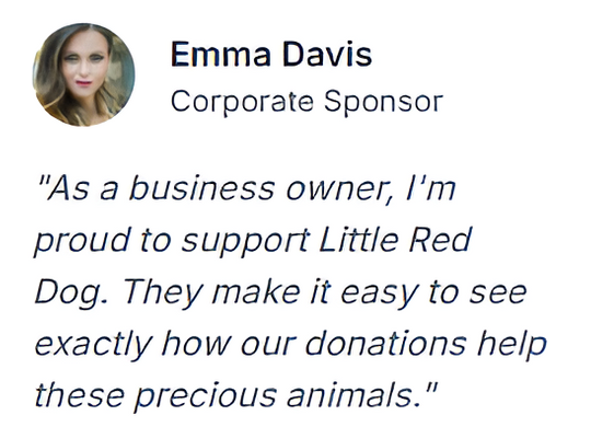 Screenshot 2025-06-25 232648.png