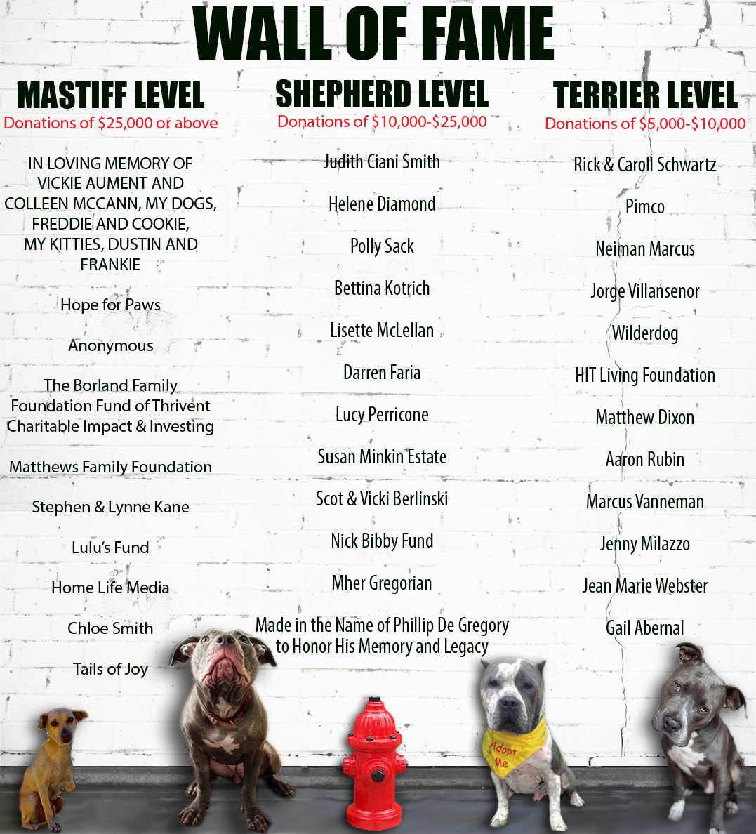 hall of fame wall copy.png