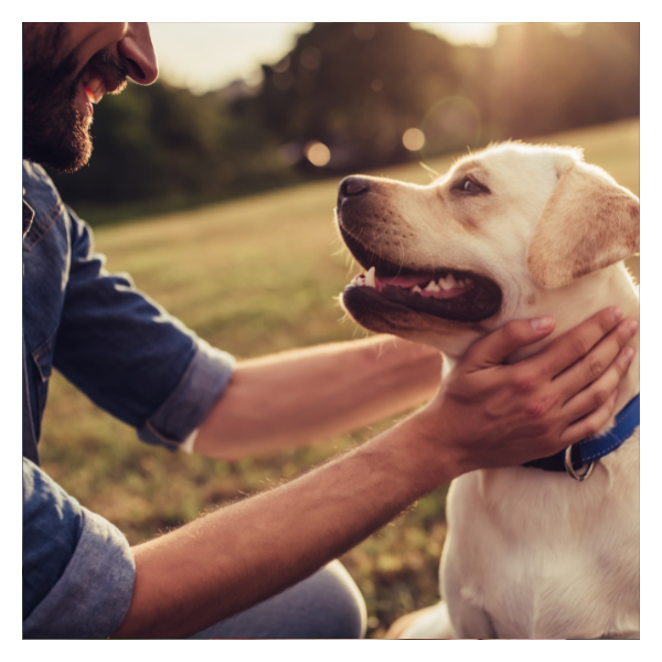 Happy Life with Your Dog dog behavior training