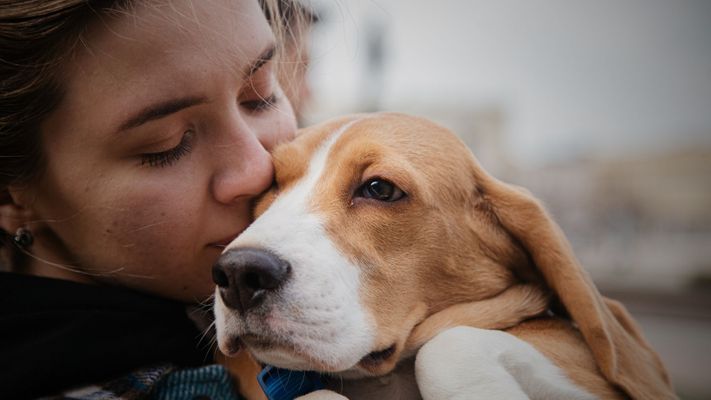HowtoRehomeYourPet-Hero.jpg