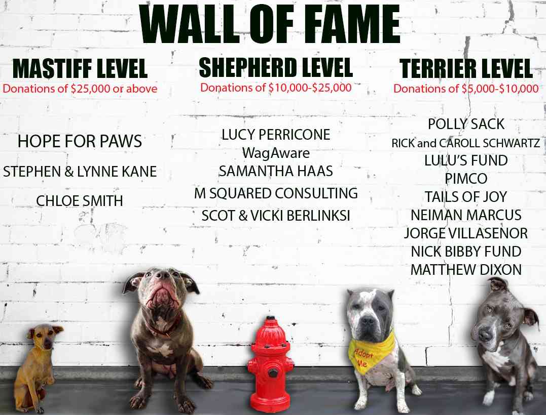 hall of fame wall copy.jpg