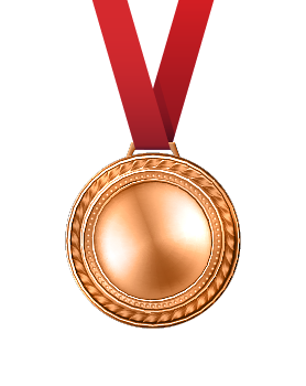 Bronze Medal.png