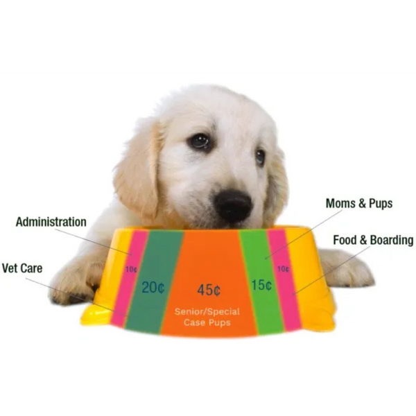 Untitled design - 2025-03-19T072844.606.png