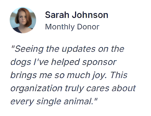 Screenshot 2025-06-25 231858 (1).png