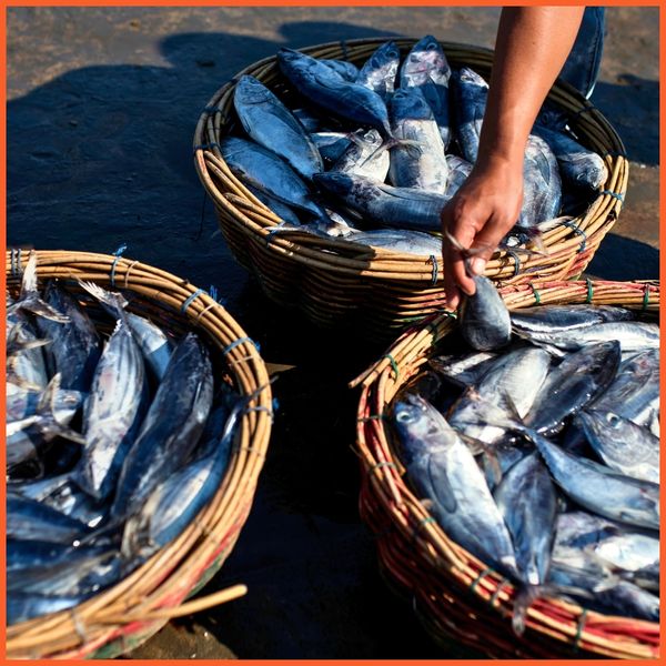 From Boat to Table The Journey of Fresh Catch Seafood-2.jpg