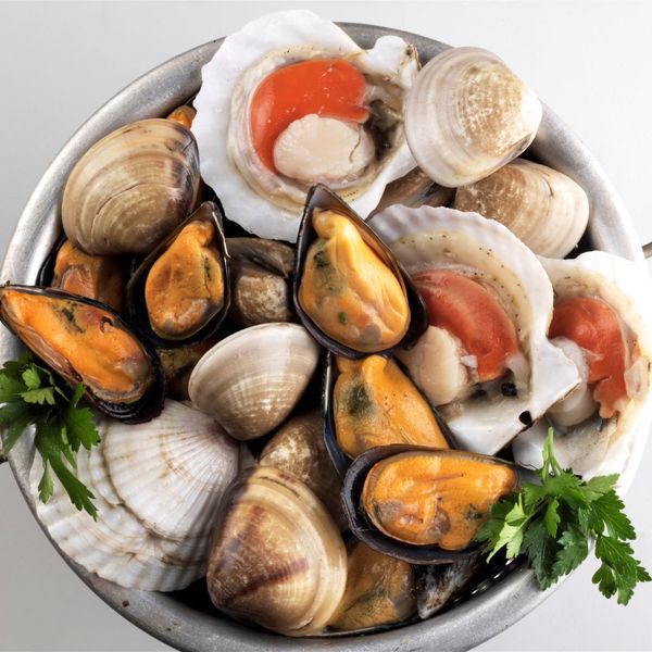 Variety of shellfish in a bowl. 