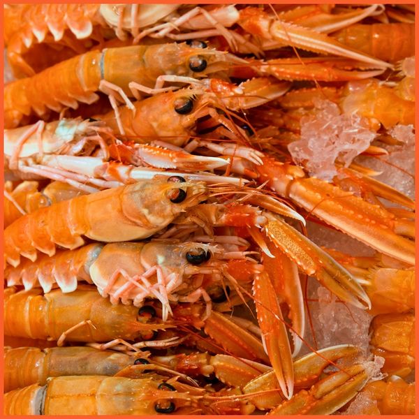 From Boat to Table The Journey of Fresh Catch Seafood-3.jpg