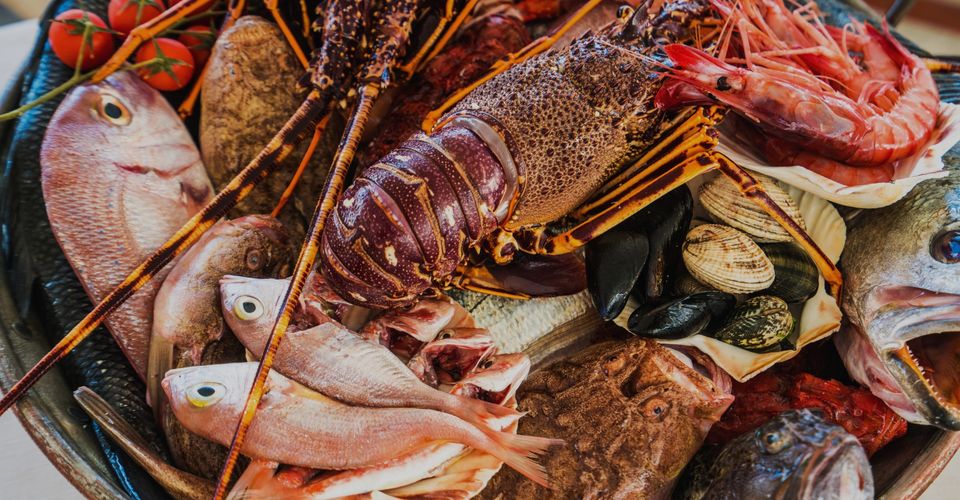 From Boat to Table The Journey of Fresh Catch Seafood-hero.jpg