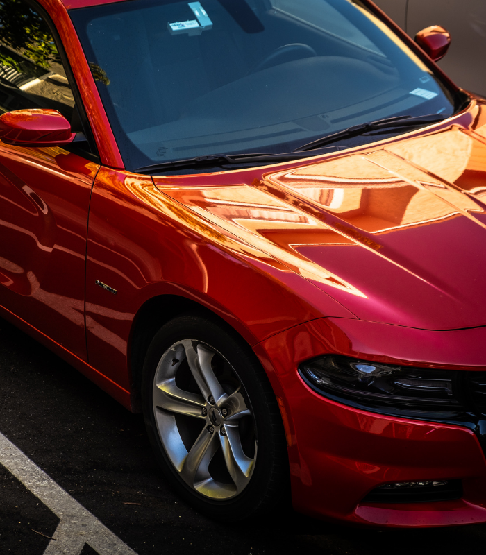 Complete+ Paint        $299.99