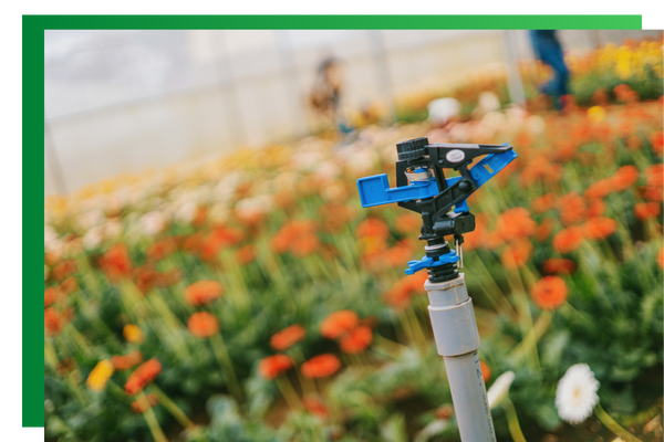 Areas We Serve - 4.png