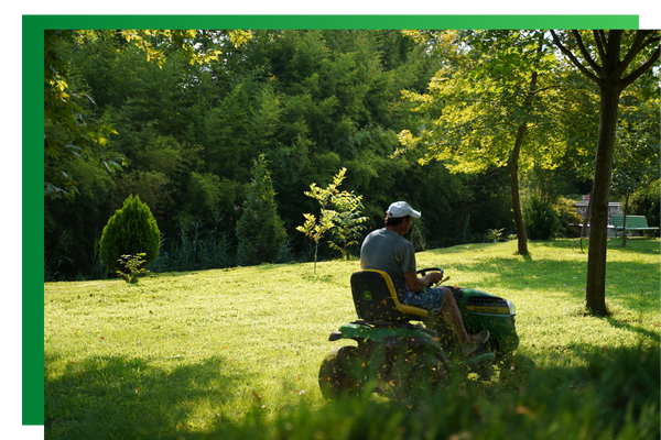 Man mowing grass by trees.