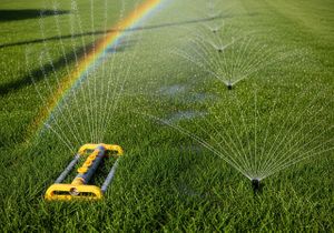 Several lawn sprinklers water a green grassy lawn on a sunny day, creating a rainbow as the water droplets catch the sunlight. Sprinklers Watering Grass with Rainbow