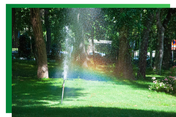 Sprinkler system.