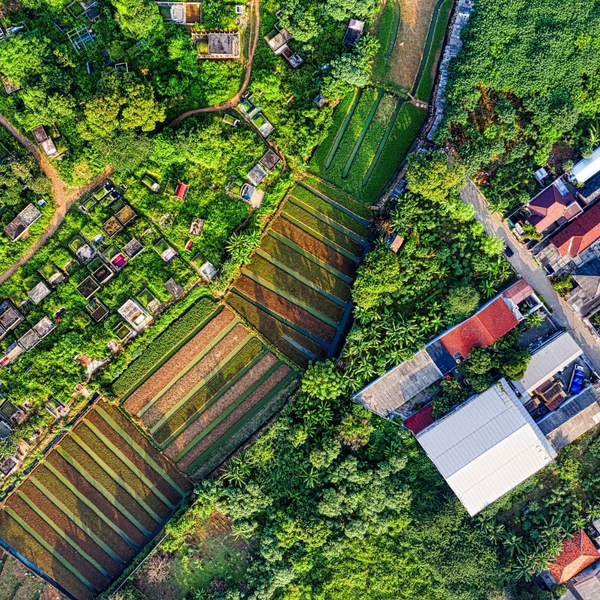 arial view of development 