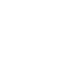 insp.png
