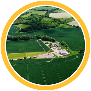 Land Clearing - Icon 2.png