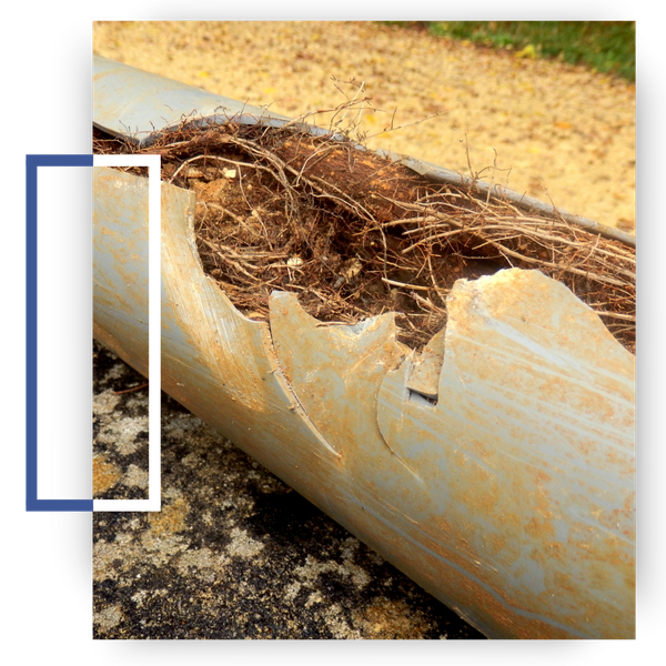 a clogged and broken pipe Sewer Line (4).png