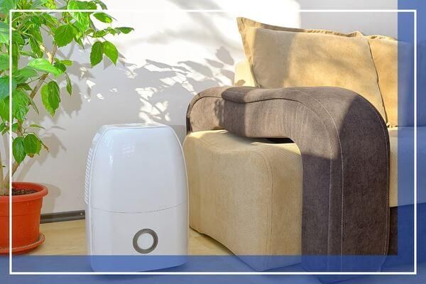 home dehumidifier in living room