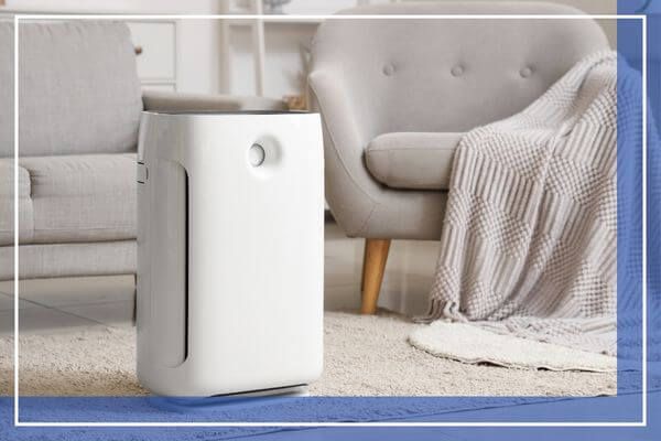 air purifier in living room