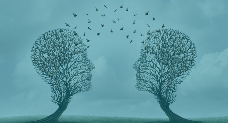 abstract image of trees as minds with birds between