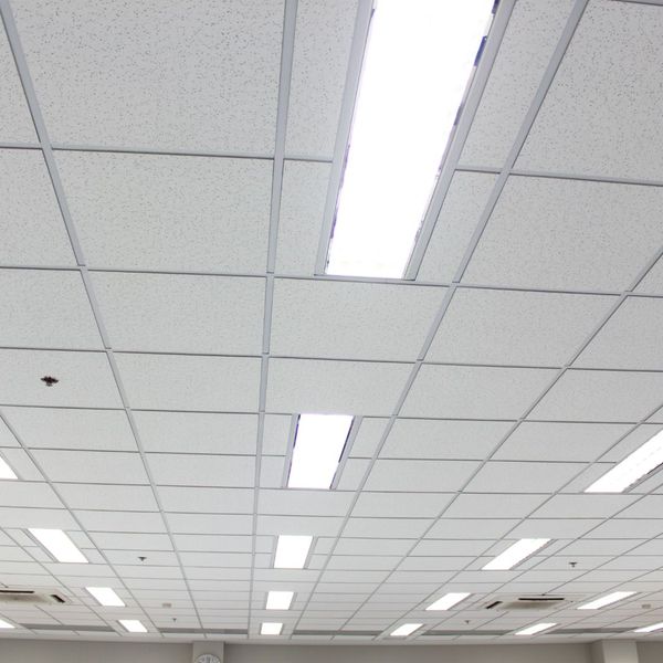 Acoustic ceilings. 