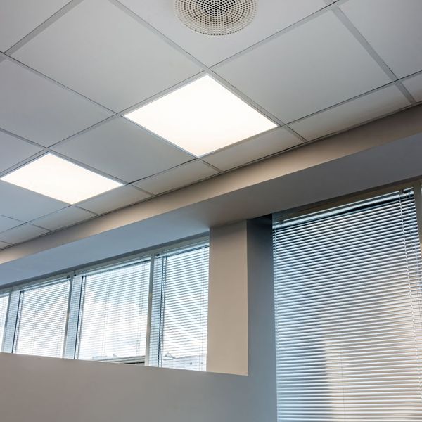 acoustic ceiling panels in an office