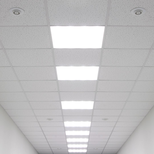 acoustic ceiling panels in an office