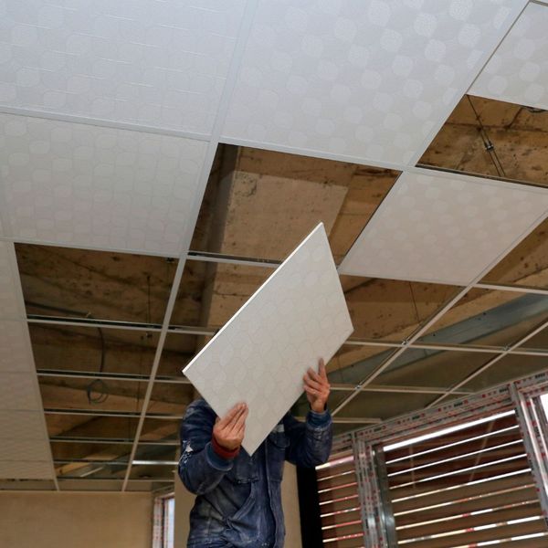 professional installing ceiling tiles