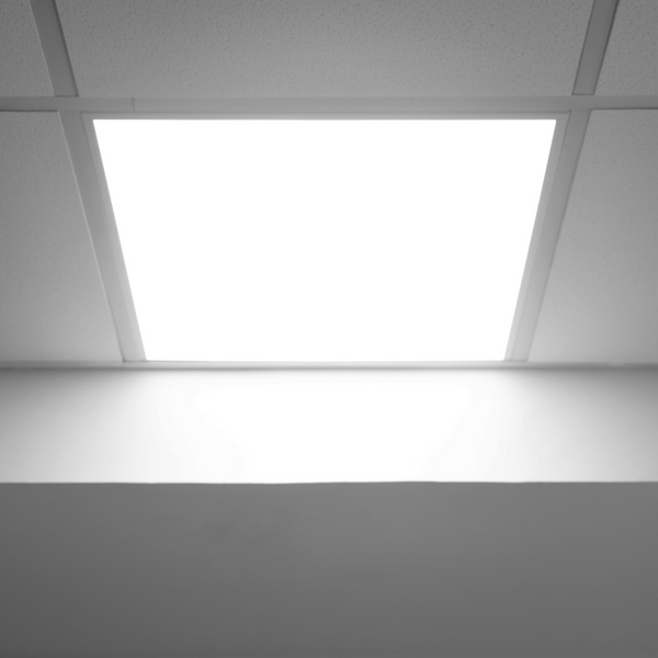 Choosing the Right Ceiling for Your Space_ A Guide from LA Ceilings1.png