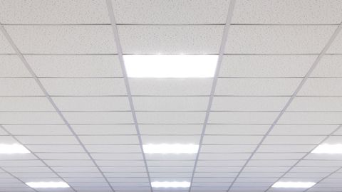 The Science Behind Acoustic Ceilings.jpg