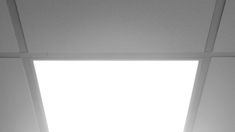 The Importance of Professional Installation for Acoustic Ceilings - Featured Image.jpg