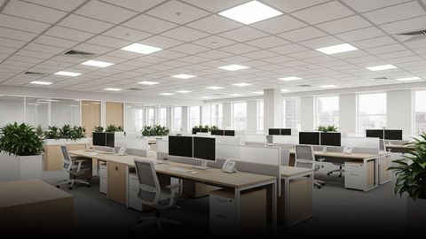 A wide view of a modern and bright office space featuring a clean acoustic tile ceiling.