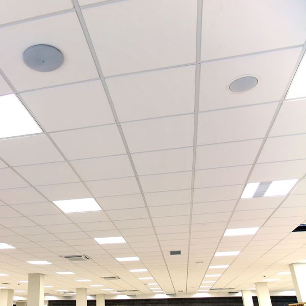 acoustic ceiling panels in an office