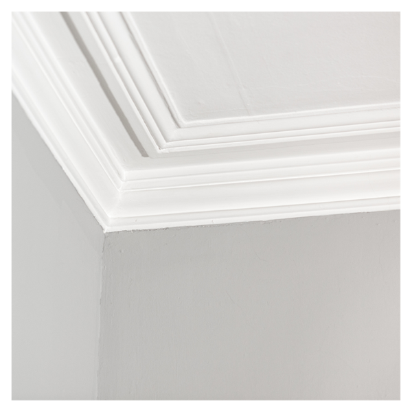 decorative moulding ceiling. 